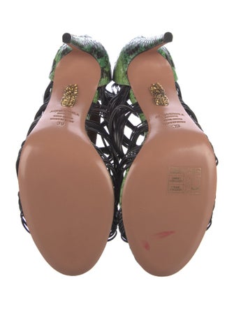 Aquatalia Snakeskin Animal Print Gladiator Sandals