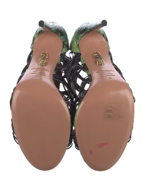 Aquatalia Snakeskin Animal Print Gladiator Sandals