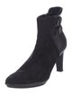 Aquatalia Suede Boots