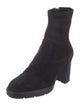 Aquatalia Suede Boots
