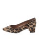 Aquatalia Ponyhair Animal Print Pumps