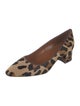 Aquatalia Ponyhair Animal Print Pumps