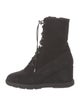 Aquatalia Suede Lace-Up Boots