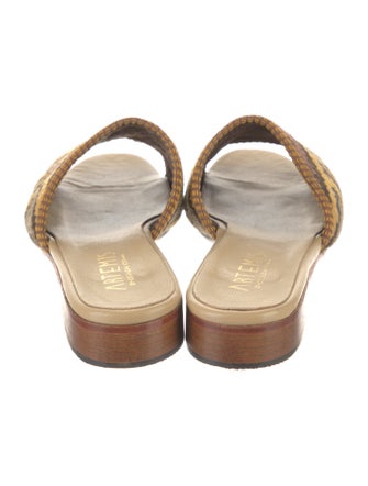 Artemis Design Co. Printed Slides