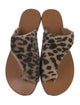 ATP Atelier Ponyhair Animal Print Slides