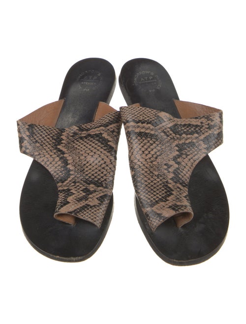 ATP Atelier Python Animal Print Slides