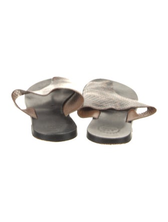 ATP Atelier Python Animal Print Slides