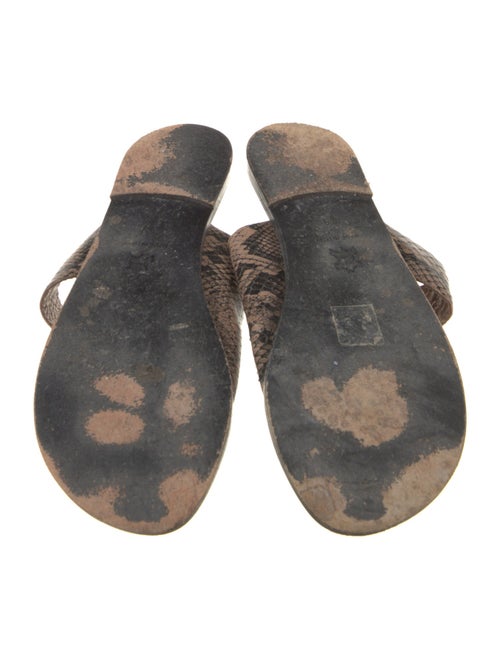 ATP Atelier Python Animal Print Slides