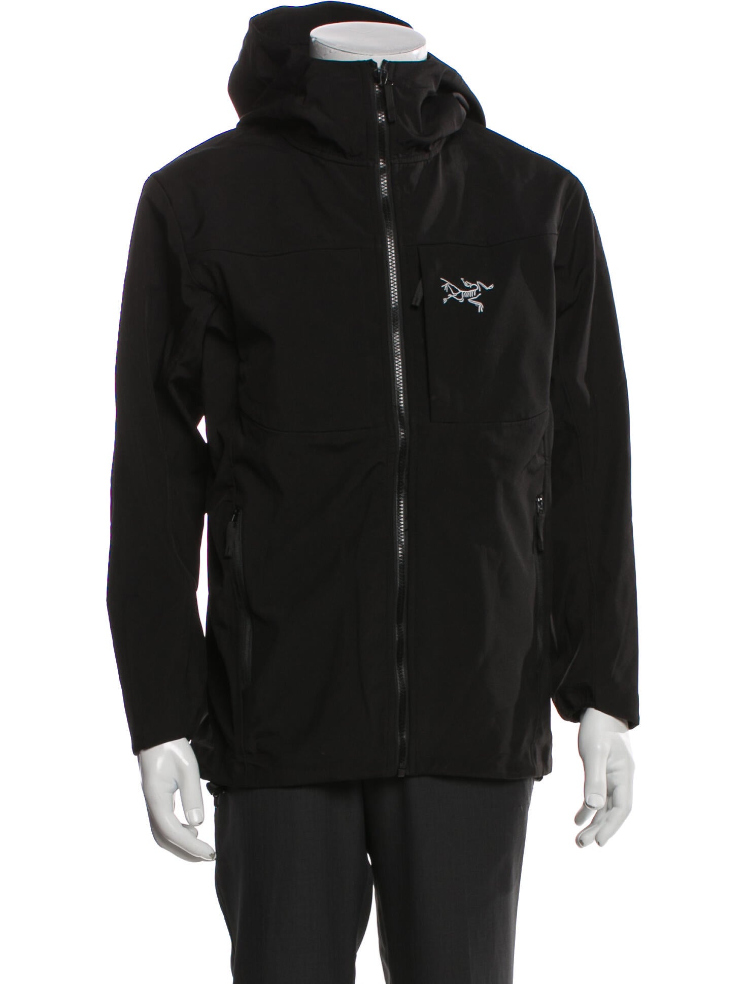 Arc'Teryx Graphic Print Parka w/ Tags