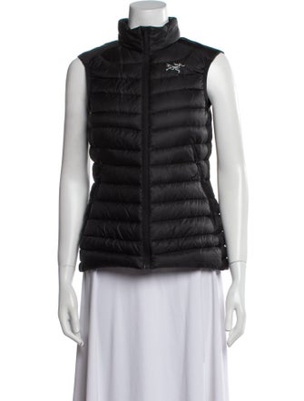 Arc'Teryx Down Jacket