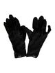 Arc'Teryx Gloves