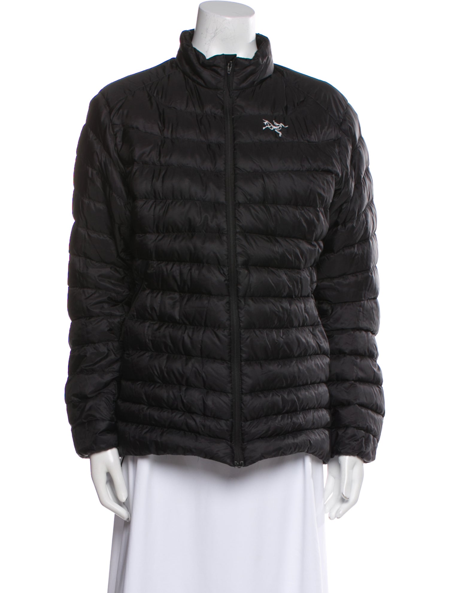 Arc'Teryx Down Coat