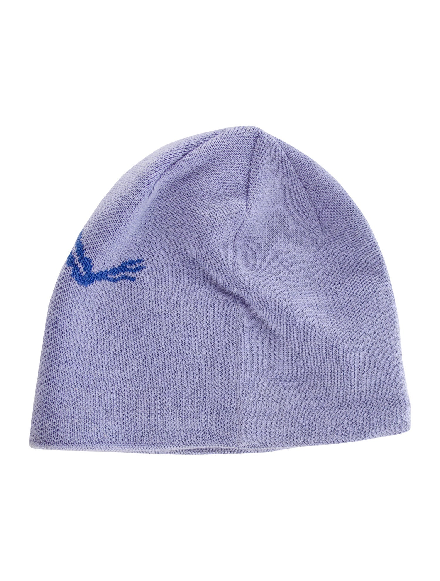Arc'Teryx Men's Wool Beanie