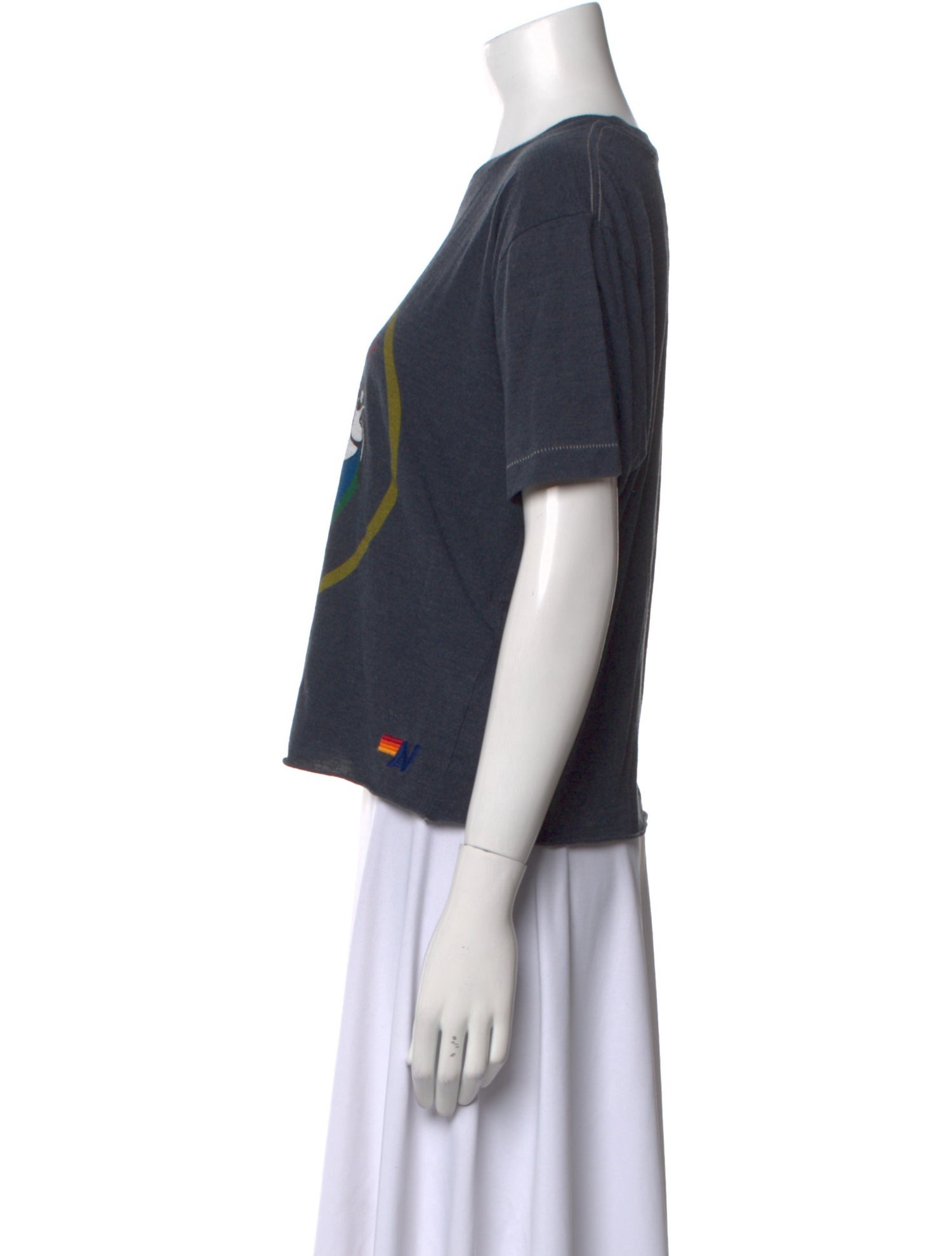 Aviator Nation Graphic Print Crew Neck T-Shirt