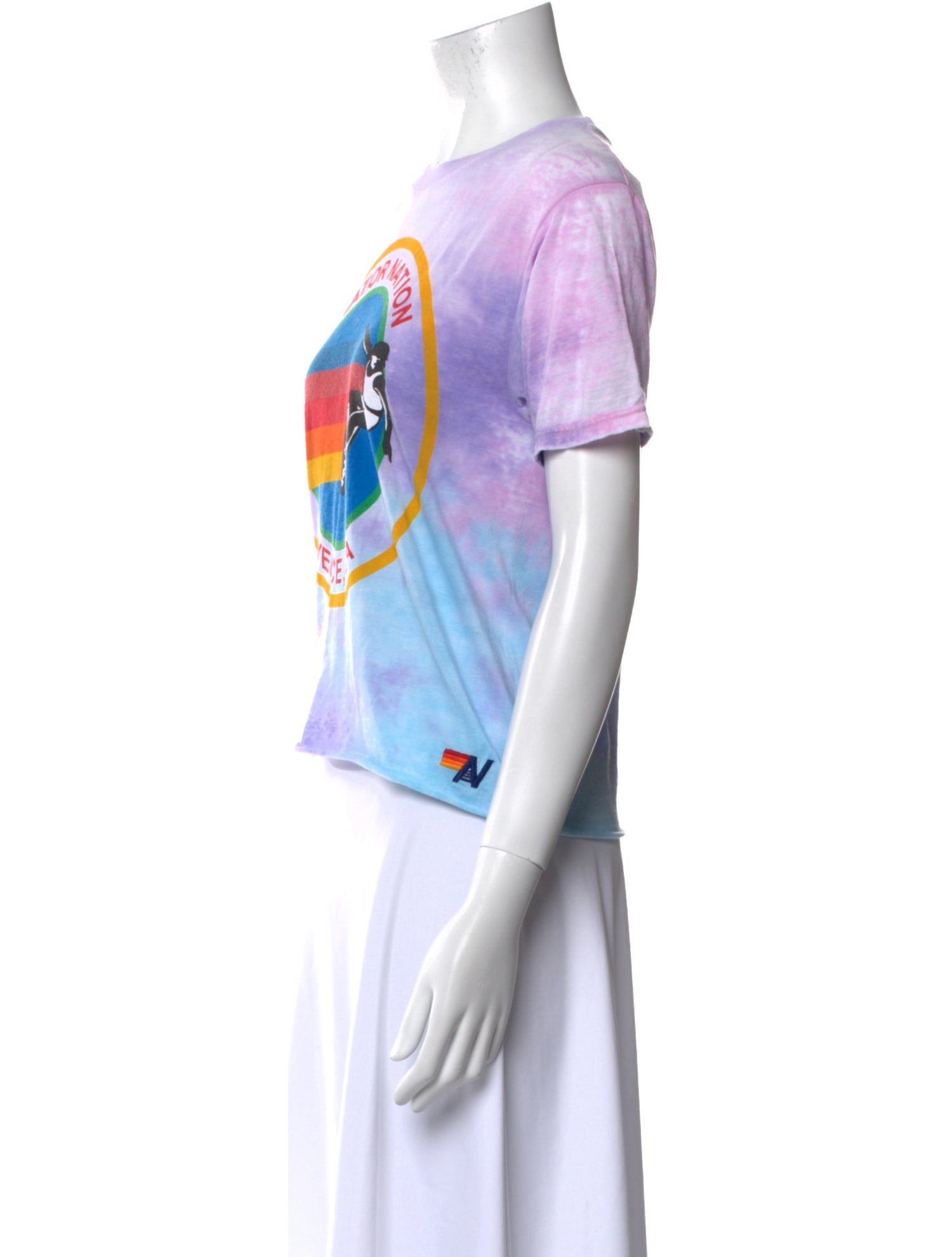 Aviator Nation Graphic Print Crew Neck T-Shirt