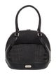 Alexander McQueen x Samsonite Canvas Top Handle Bag