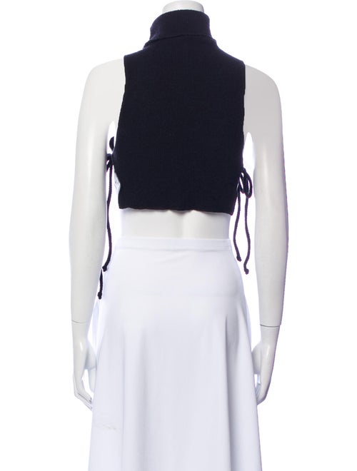 Are You Am I Turtleneck Sleeveless Crop Top