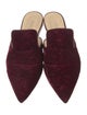 Barney's New York Velvet Mules