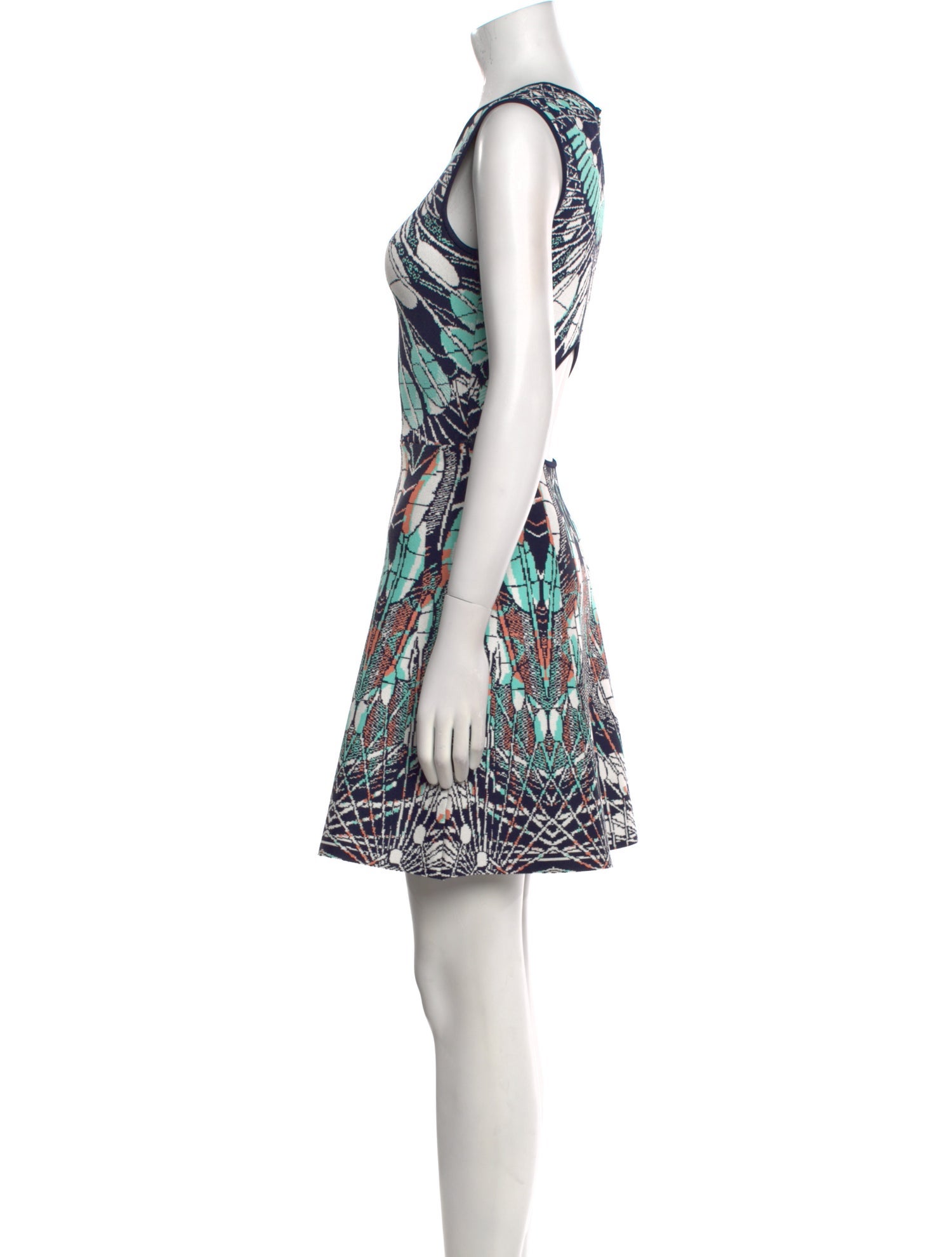 Bcbgmaxazria Printed Mini Dress
