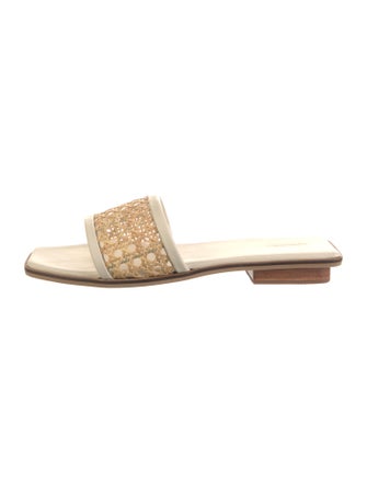 Bembien Straw Slides