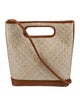Bembien Raffia Top Handle Bag