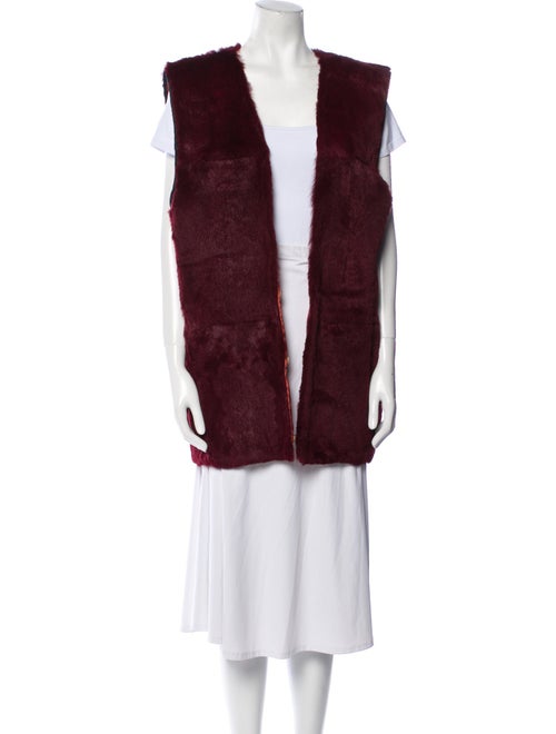 Bisang Alpine Vest