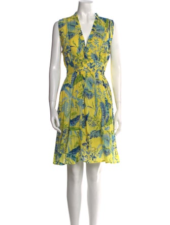 Banjanan Printed Knee-Length Dress