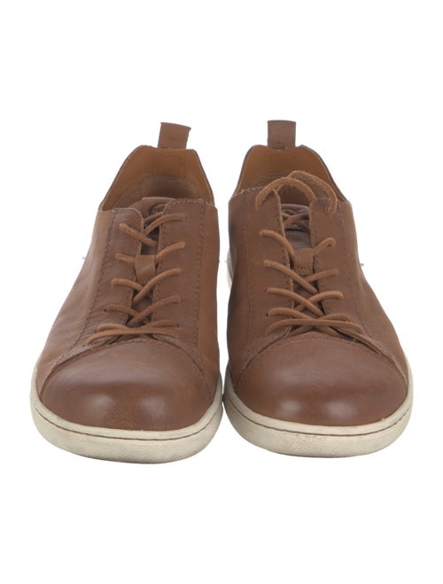 Born Suede Printed Sneakers