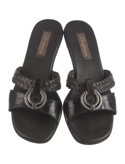 Brighton Printed Slides