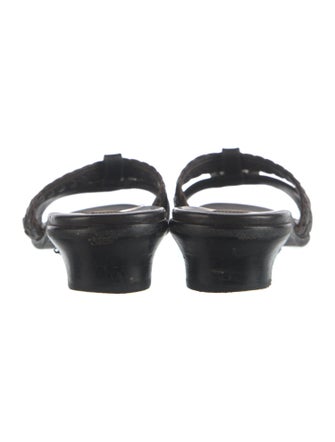 Brighton Printed Slides