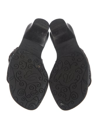 Brighton Printed Slides