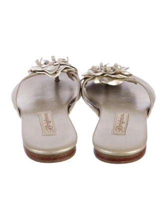 Brighton Leather Slides