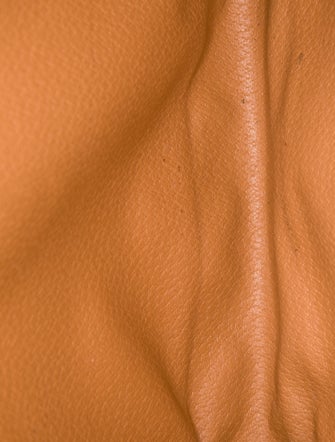 Celine Triomphe Portfolio