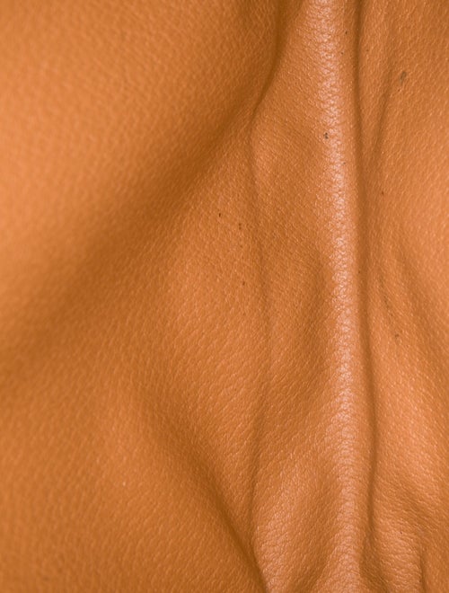 Celine Triomphe Portfolio