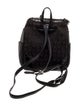 Brighton Leather Backpack