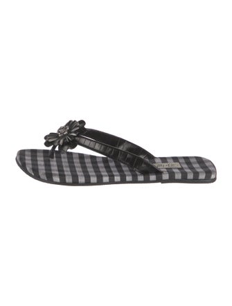 Brighton Leather Printed Slides