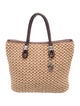 Brighton Raffia Top Handle Bag