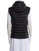 Bogner Fire + Ice Vest