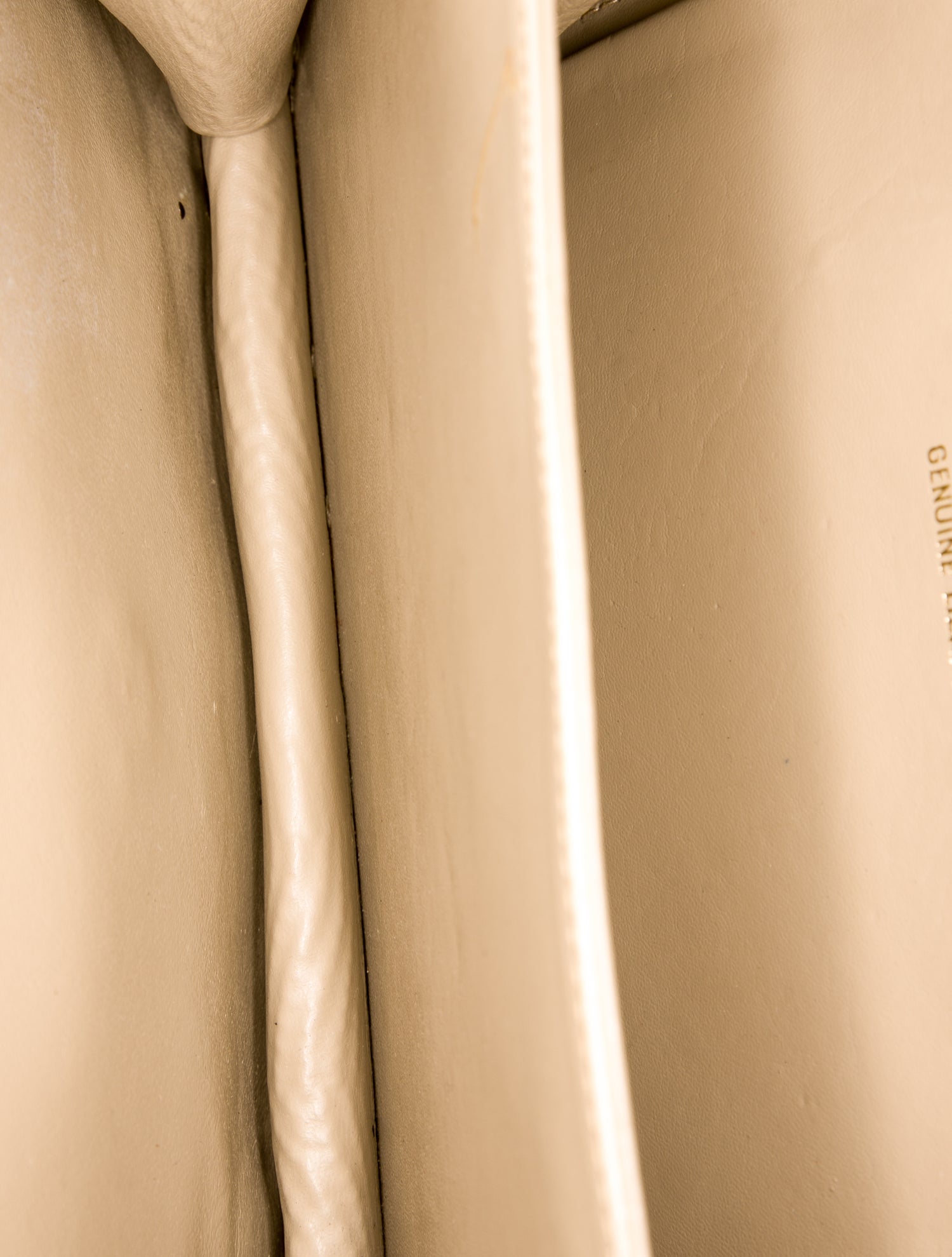 Bonwit Teller Lizard Portfolio