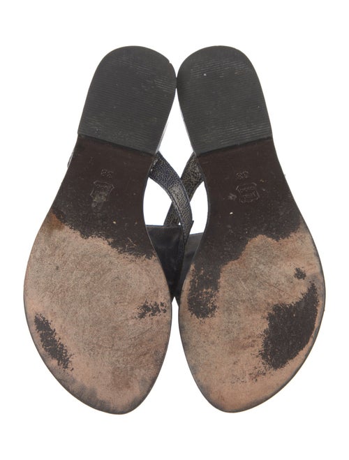 Bo'em Plage Alligator Slides