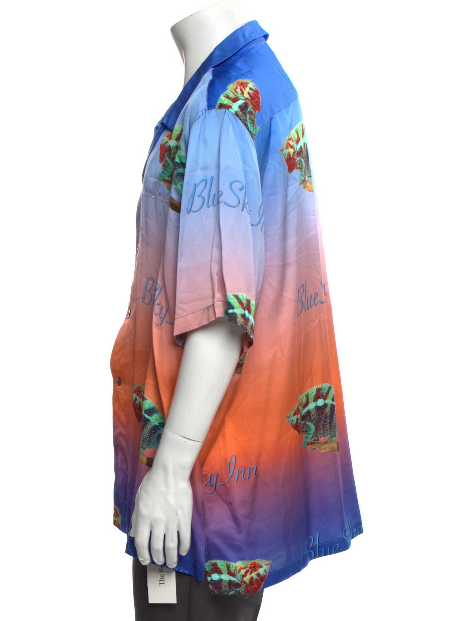 Blue Sky Inn Printed Three-Quarter Sleeve Shirt