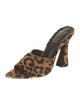 Black Suede Studio Calf Hair Animal Print Slides