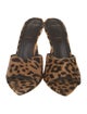 Black Suede Studio Calf Hair Animal Print Slides