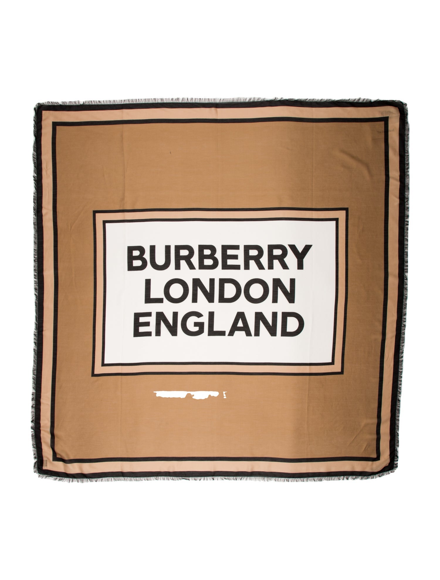 Burberry Printed Scarf