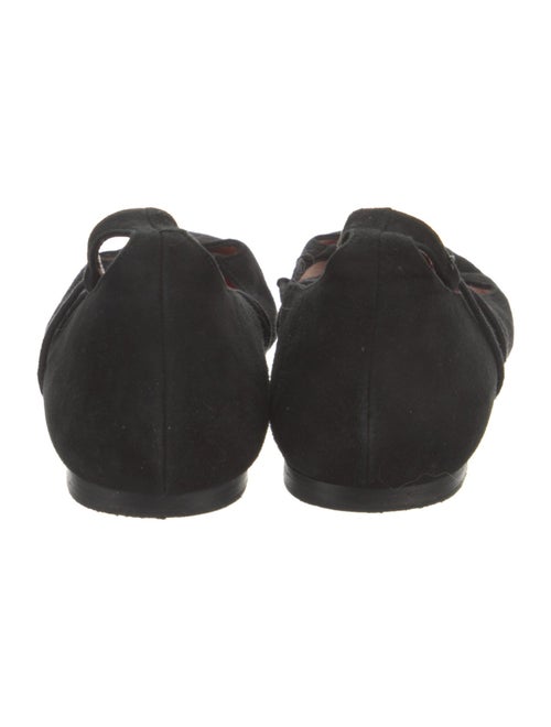 CH Carolina Herrera Suede Ballet Flats