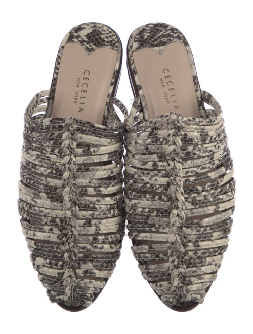Cecelia Leather Printed Mules