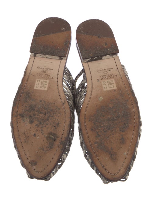 Cecelia Leather Printed Mules