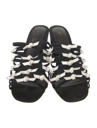 Cecelia Suede Slides