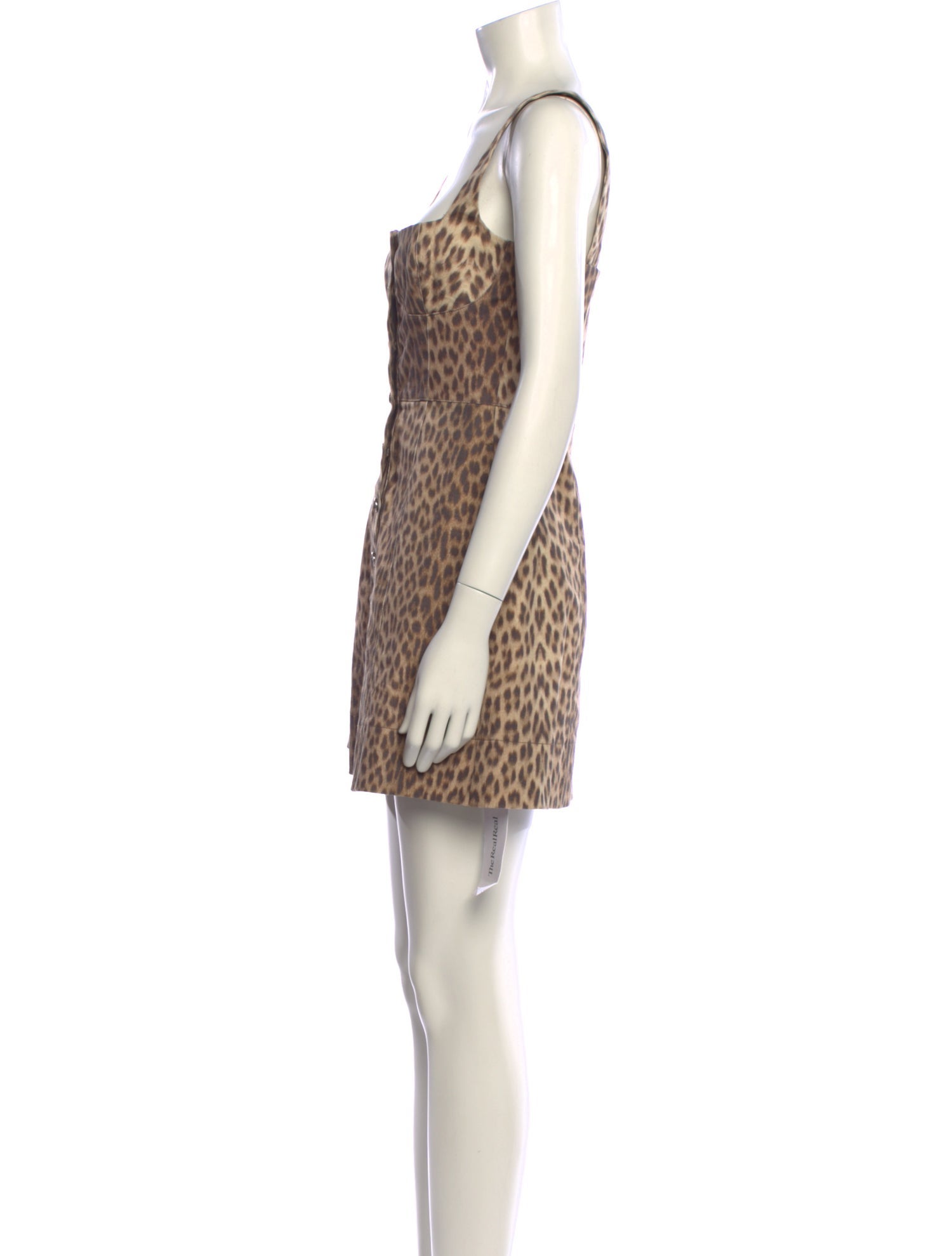 Capulet Animal Print Mini Dress
