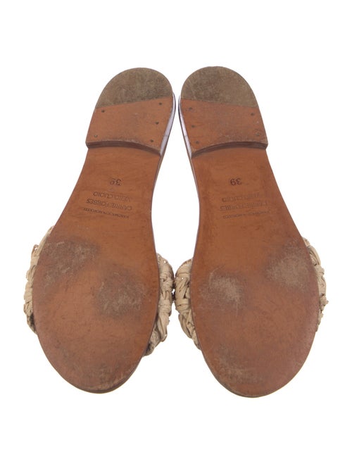 Carrie Forbes Straw Slides